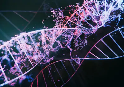 Illustration of pink and blue DNA molecules.